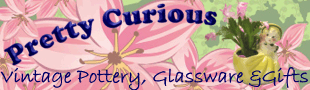  Pretty Curious eBay Store 